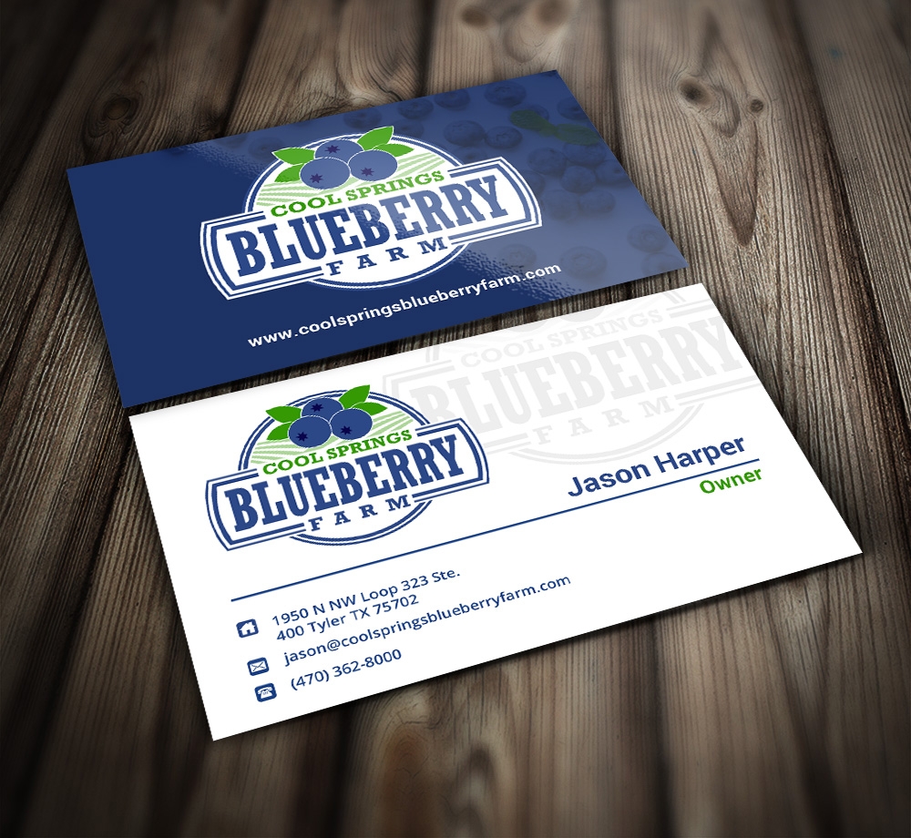 Cool Springs Blueberry Farm logo design by mattlyn