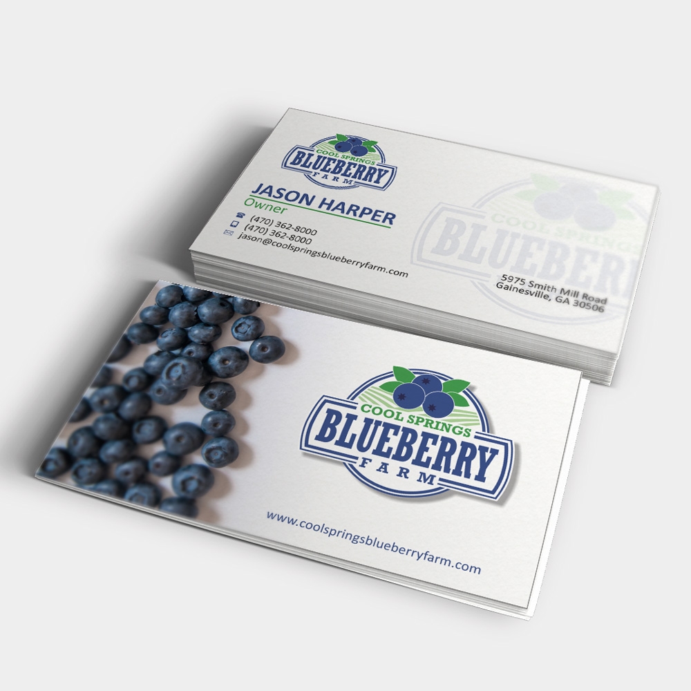 Cool Springs Blueberry Farm logo design by mletus