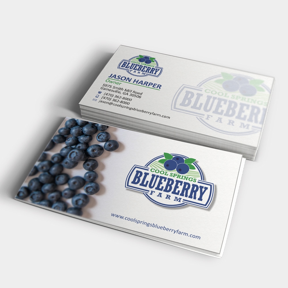 Cool Springs Blueberry Farm logo design by mletus