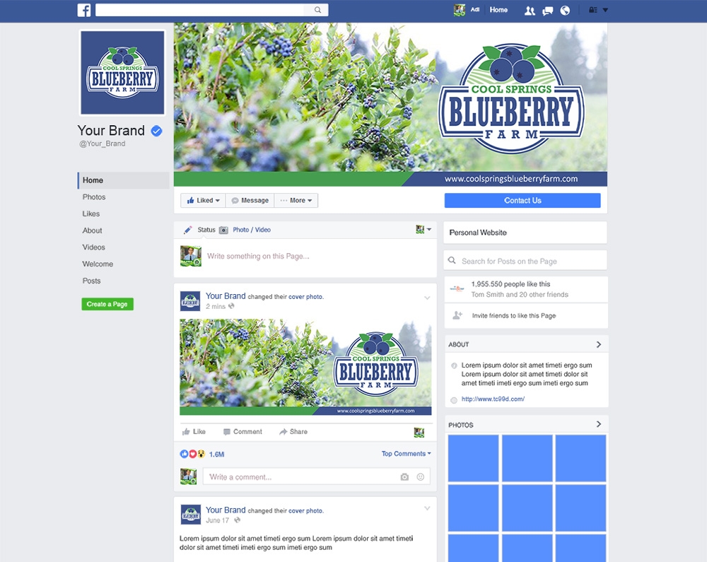 Cool Springs Blueberry Farm logo design by mletus