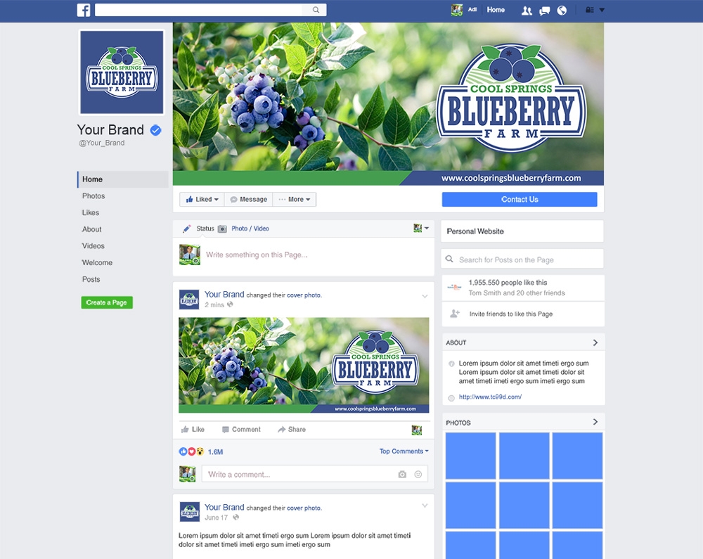Cool Springs Blueberry Farm logo design by mletus
