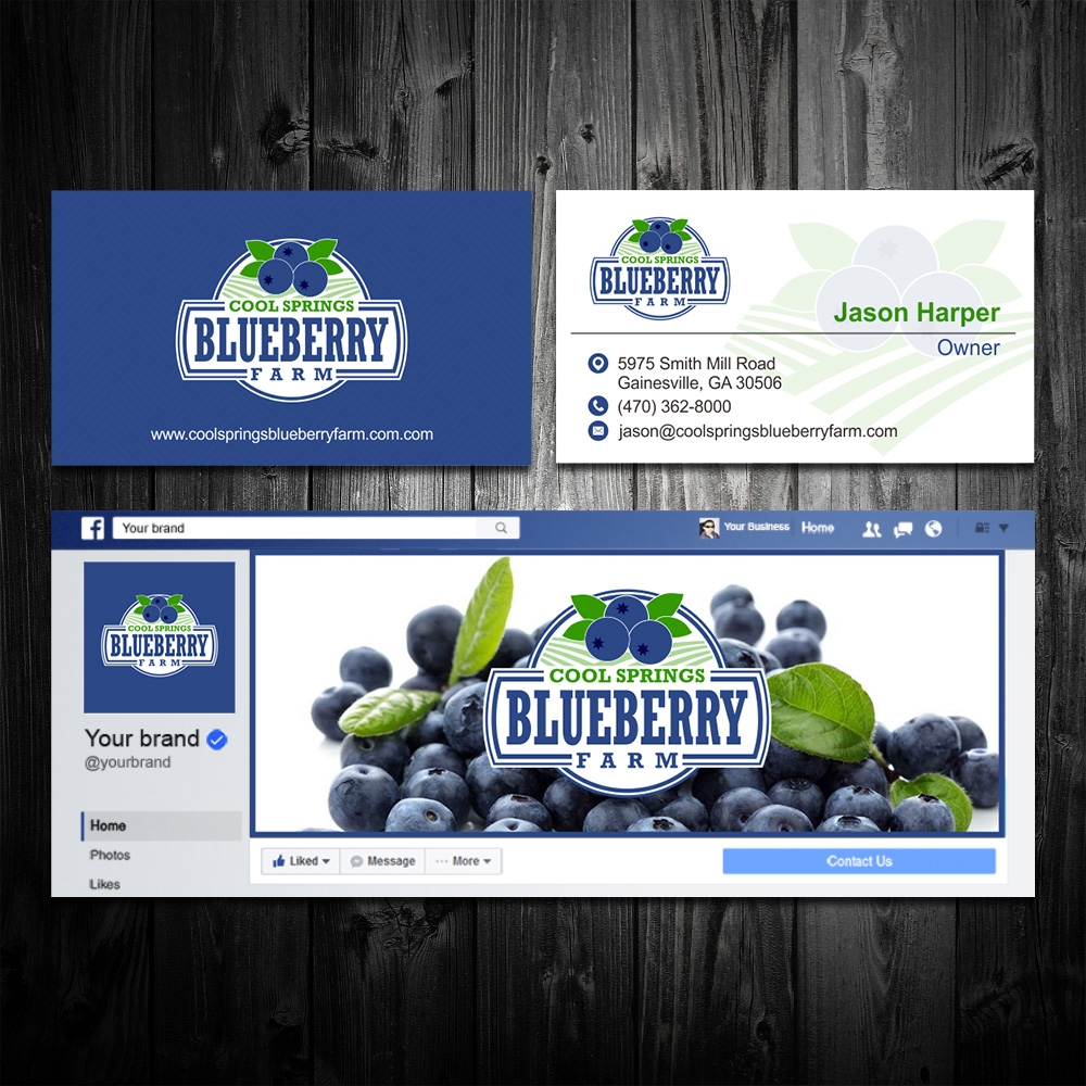 Cool Springs Blueberry Farm logo design by Kindo
