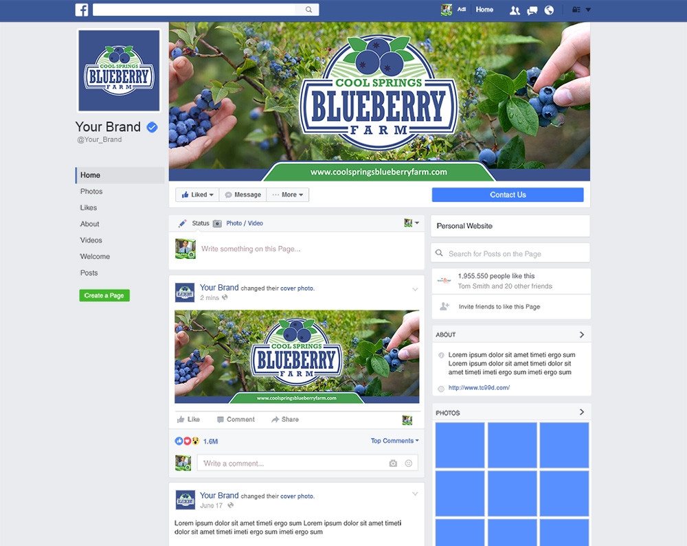 Cool Springs Blueberry Farm logo design by mletus