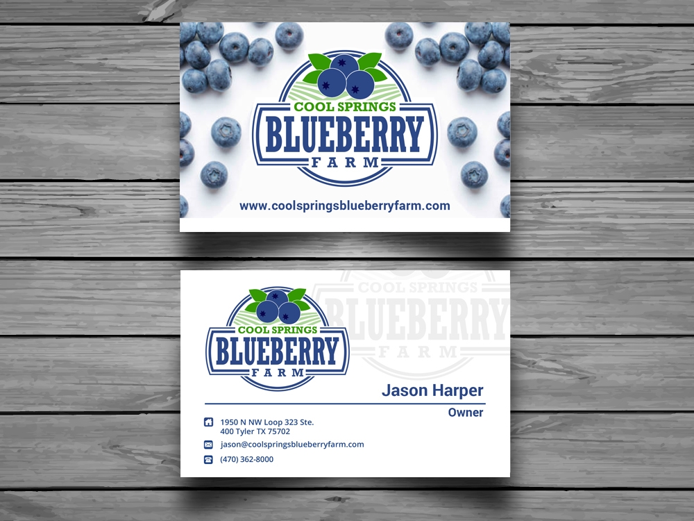 Cool Springs Blueberry Farm logo design by mattlyn