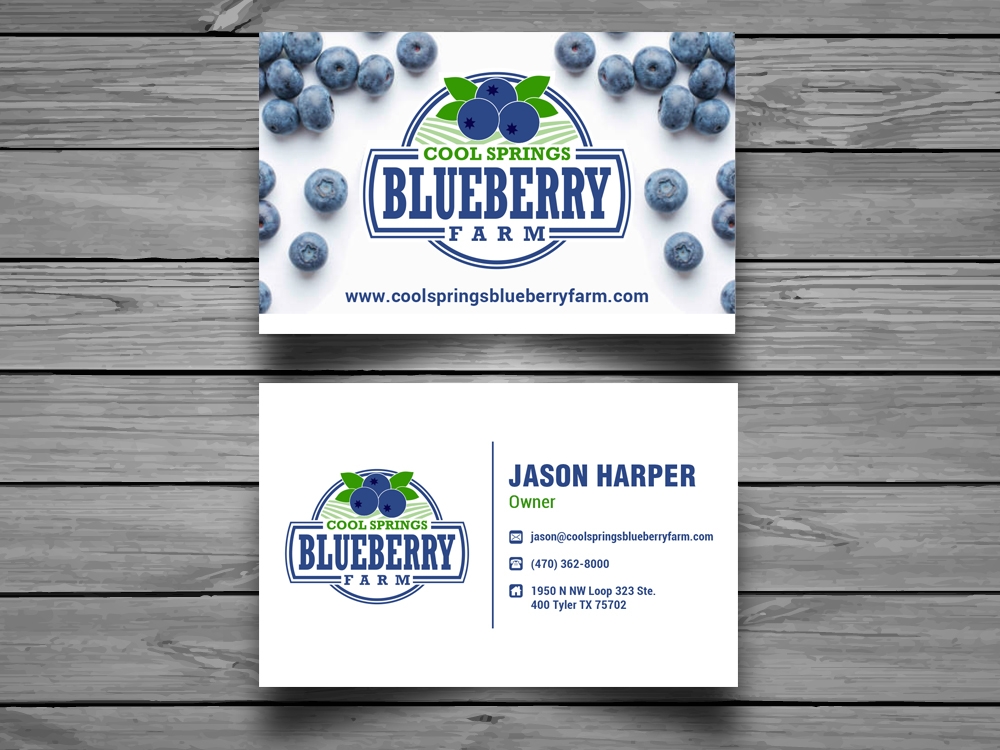 Cool Springs Blueberry Farm logo design by mattlyn