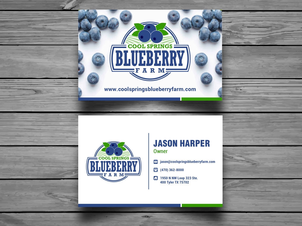 Cool Springs Blueberry Farm logo design by mattlyn