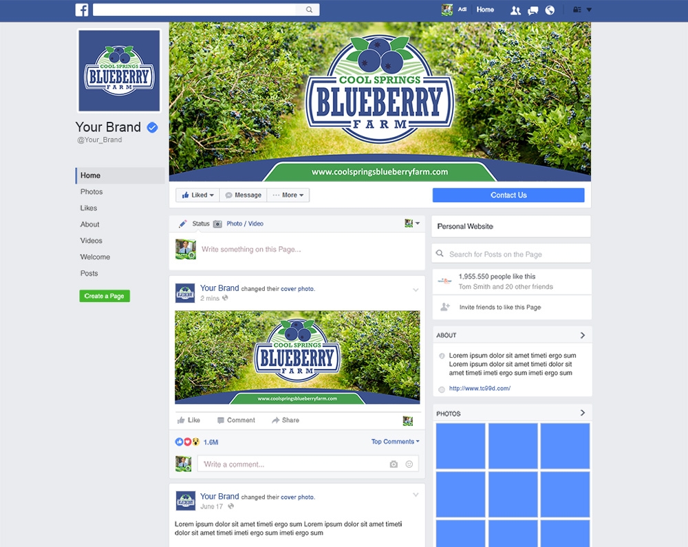 Cool Springs Blueberry Farm logo design by mletus