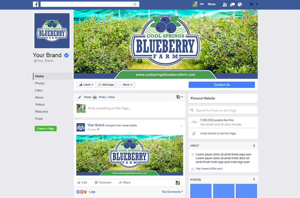 Cool Springs Blueberry Farm logo design by mletus