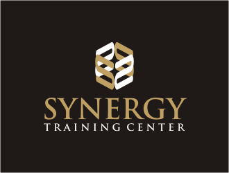 SYNERGY  TRAINING CENTER logo design by bunda_shaquilla
