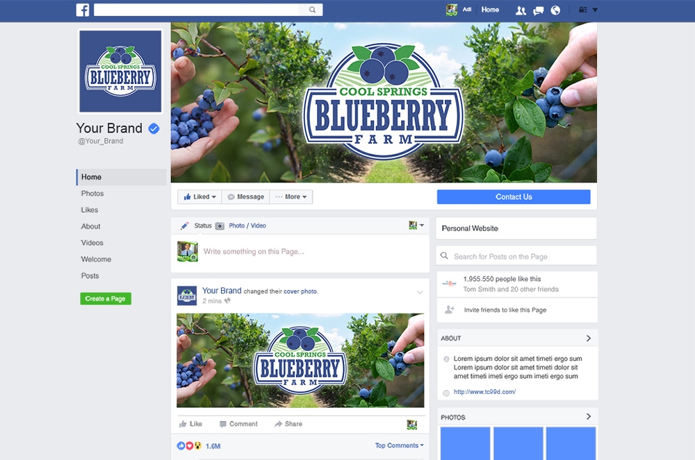 Cool Springs Blueberry Farm logo design by mletus