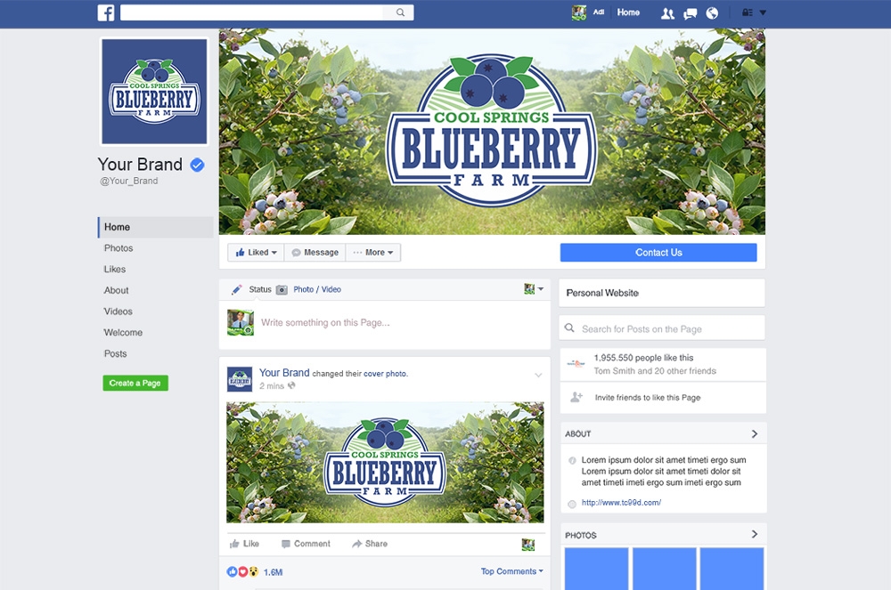 Cool Springs Blueberry Farm logo design by mletus