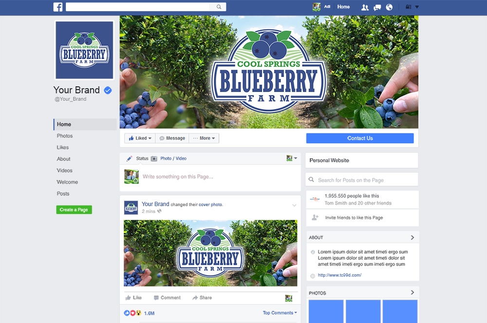 Cool Springs Blueberry Farm logo design by mletus
