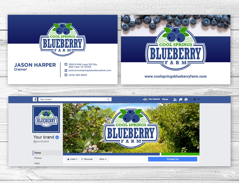 Cool Springs Blueberry Farm logo design by mattlyn