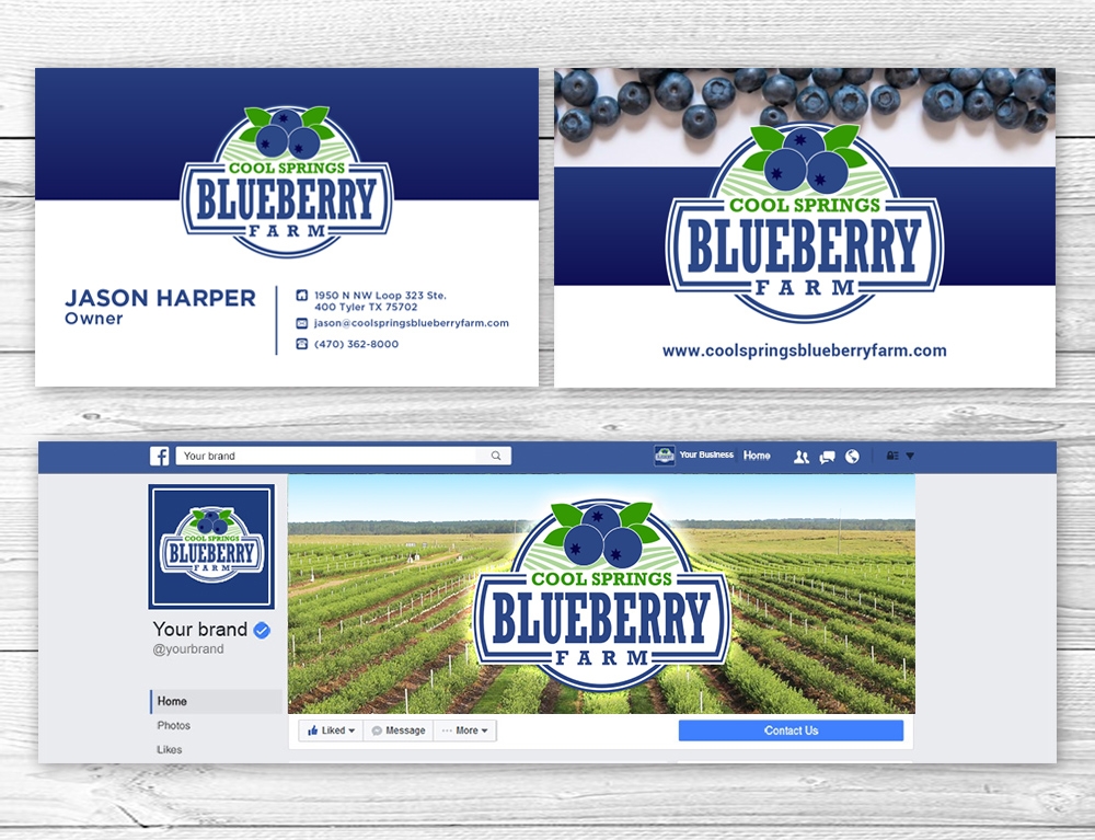 Cool Springs Blueberry Farm logo design by mattlyn