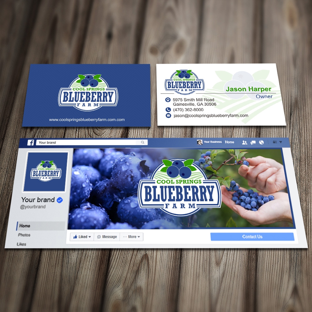 Cool Springs Blueberry Farm logo design by Kindo