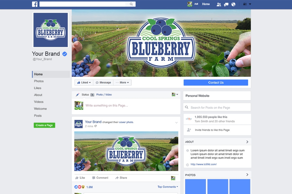 Cool Springs Blueberry Farm logo design by mletus