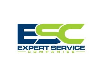 Expert Service Companies logo design by agil