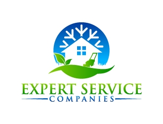 Expert Service Companies logo design by abss