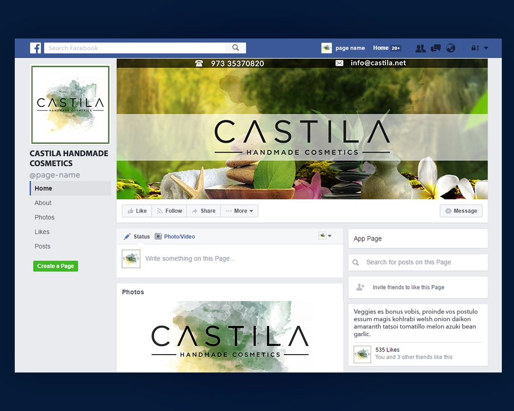 CASTILA HANDMADE COSMETICS logo design by MastersDesigns