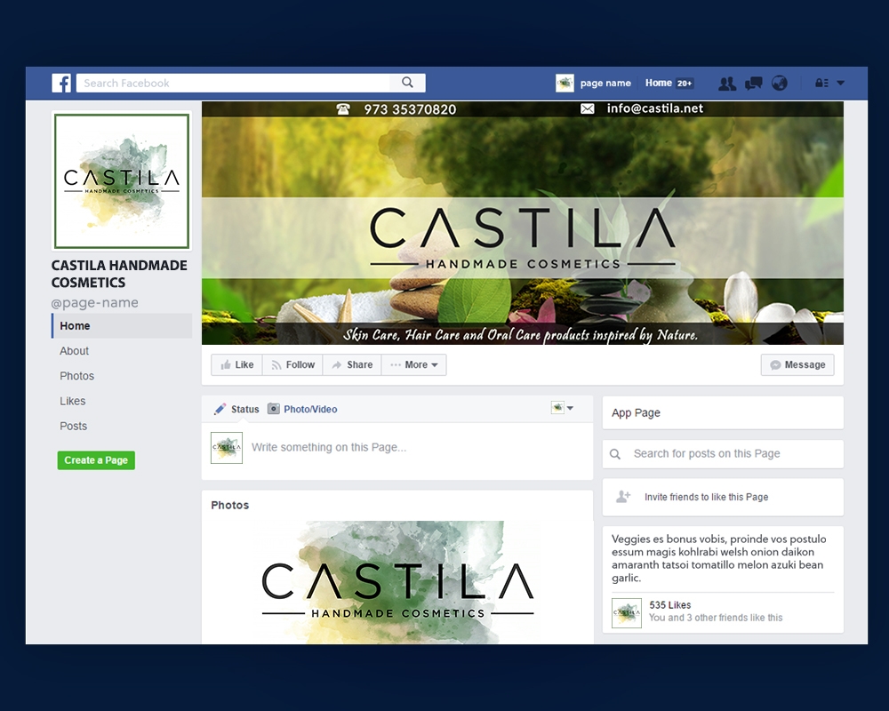 logo design by MastersDesigns