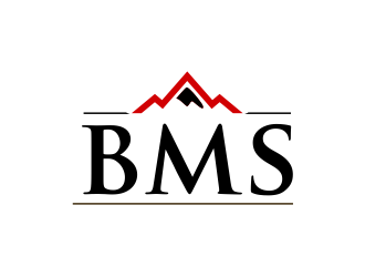 Black Mountain Solutions, Inc.  logo design by Girly