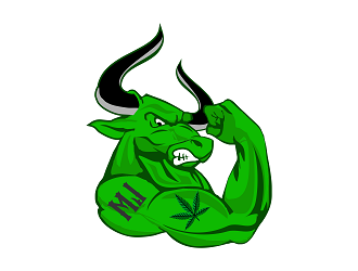 MJ Bulls logo design by Republik