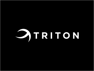 TRITON logo design by FloVal
