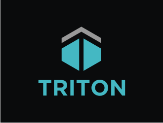 TRITON logo design by Franky.