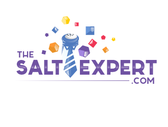 The Salt Expert logo design by schiena