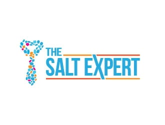 The Salt Expert logo design by azure