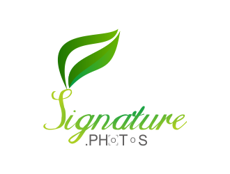 Signature.Photos logo design by Greenlight