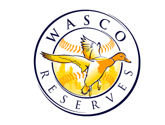  logo design by SOLARFLARE