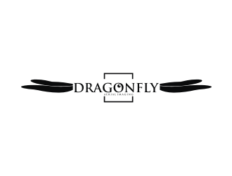 Dragonfly Aerial Imaging logo design by ohtani15