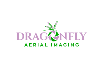 Dragonfly Aerial Imaging logo design by PRN123