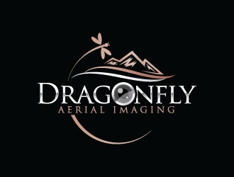 Dragonfly Aerial Imaging logo design by sanworks