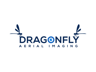 Dragonfly Aerial Imaging logo design by keylogo
