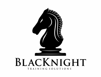 BlacKnight Training Solutions logo design by Eko_Kurniawan
