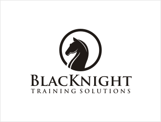 BlacKnight Training Solutions logo design by bunda_shaquilla