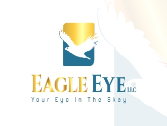 Eagle Eye Transactions LLC logo design by dusan1234