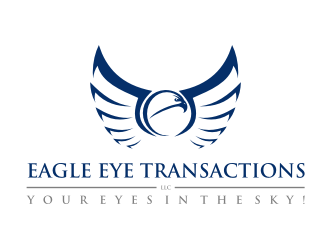 Eagle Eye Transactions LLC logo design by scolessi