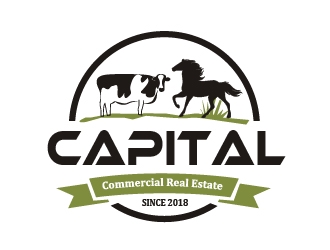 Capital Commercial Real Estate logo design by shravya