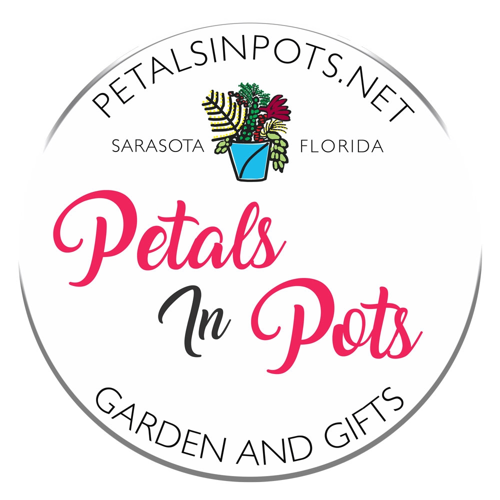 Petals In Pots Logo Design 48hourslogo