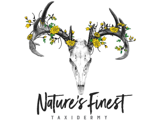 Natures Finest Taxidermy logo design by scriotx