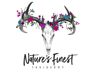 Natures Finest Taxidermy logo design by scriotx