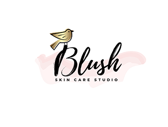 Blush Skin Care Studio logo design by wonderland