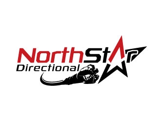 NorthStar Directional  logo design by sanworks