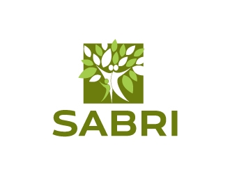 Sabri.co.il logo design by karjen