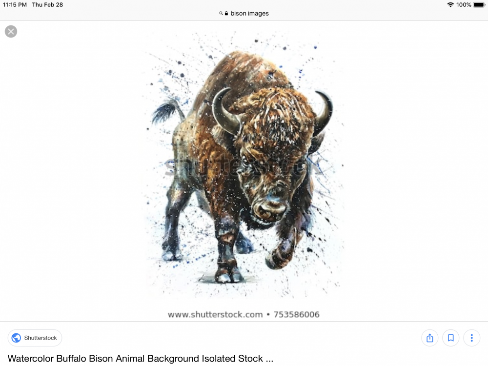 Iron Bison Ranch Logo Design - 48hourslogo