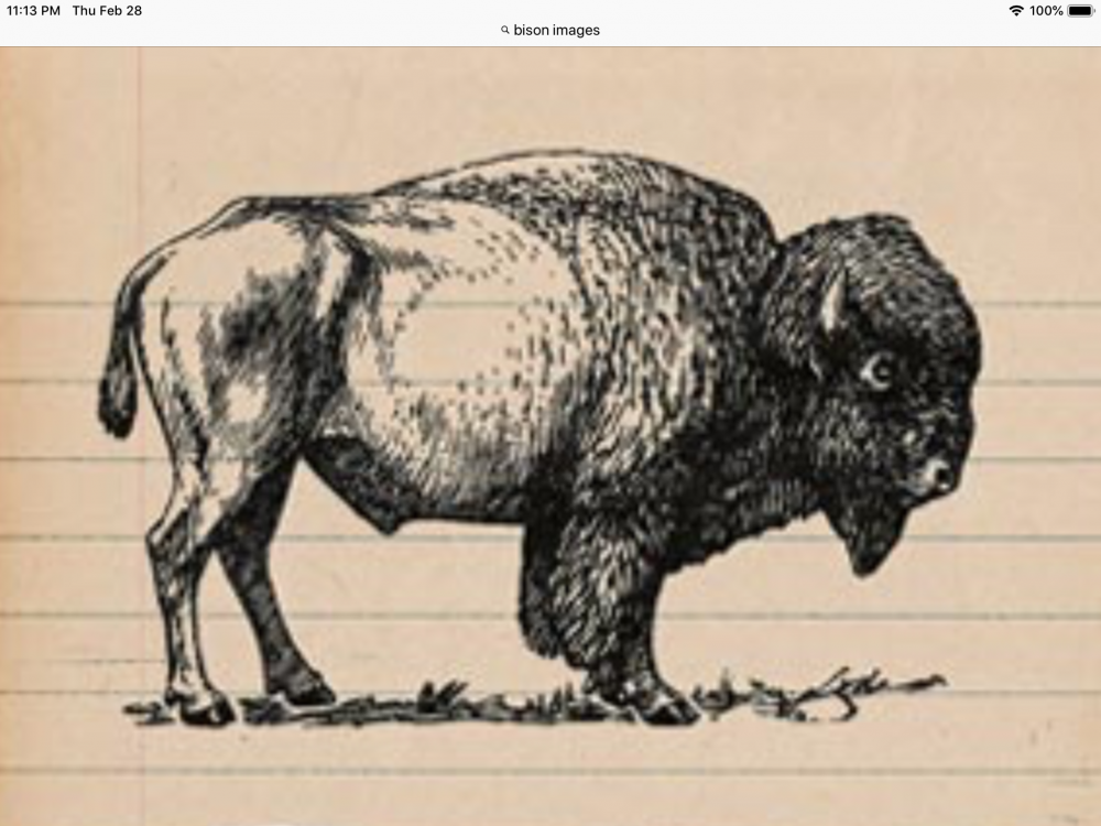 Iron Bison Ranch Logo Design - 48hourslogo