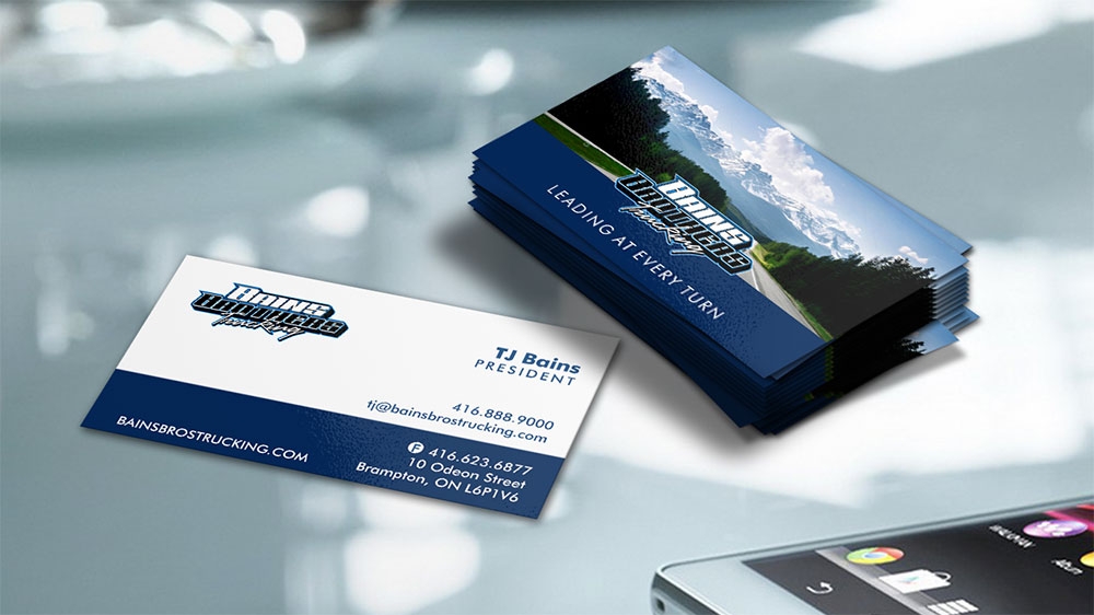 BAINS BROTHERS TRUCKING / BAINS BROS TRUCKING logo design by MCXL